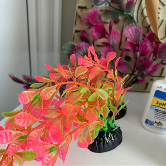 The “I can’t seem to keep a fish alive” Bundle - Picture 5 of 6